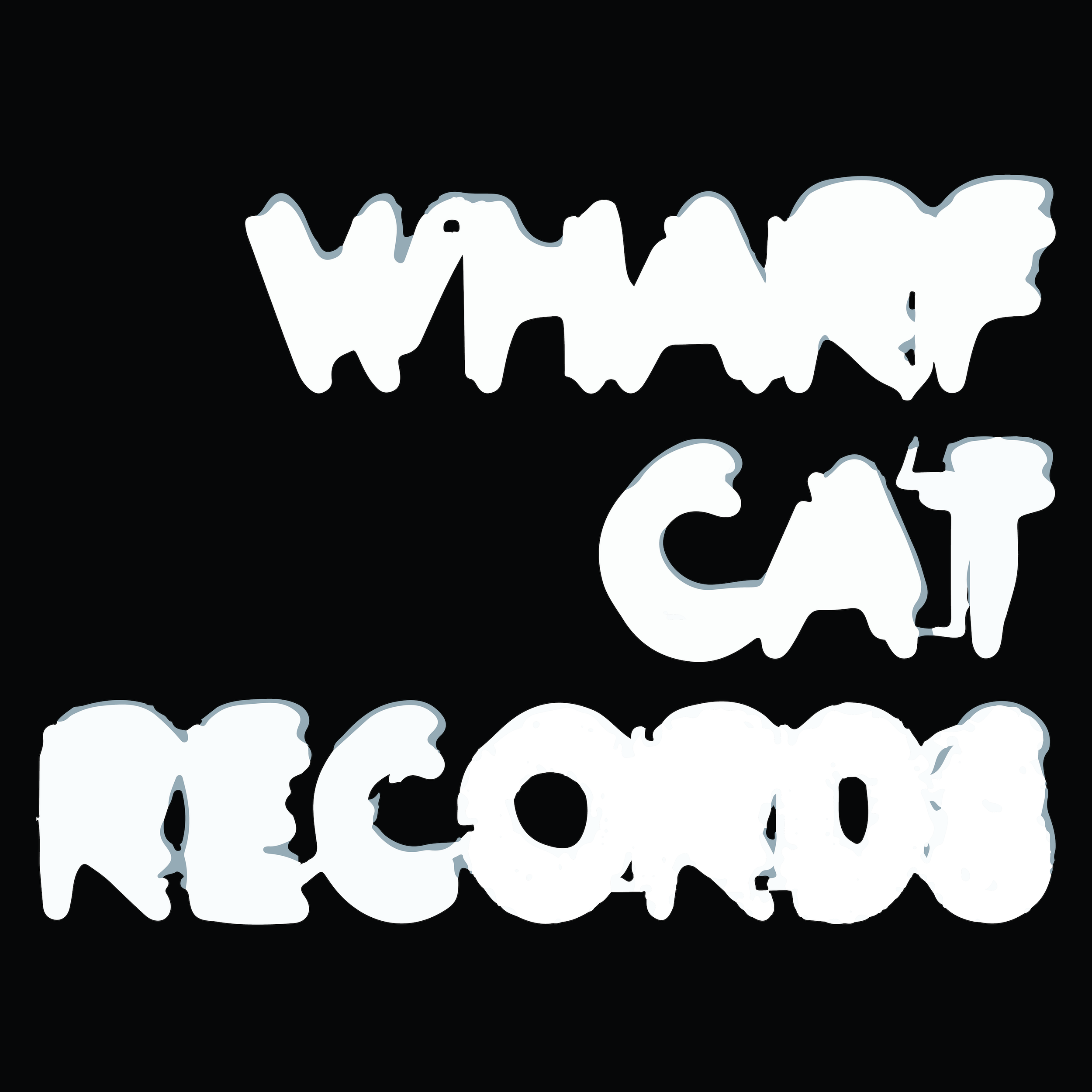 Drop Nineteens - Delaware (Reissue) — Wharf Cat Records
